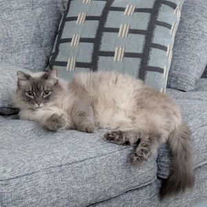 Meet your Posher, Jackie